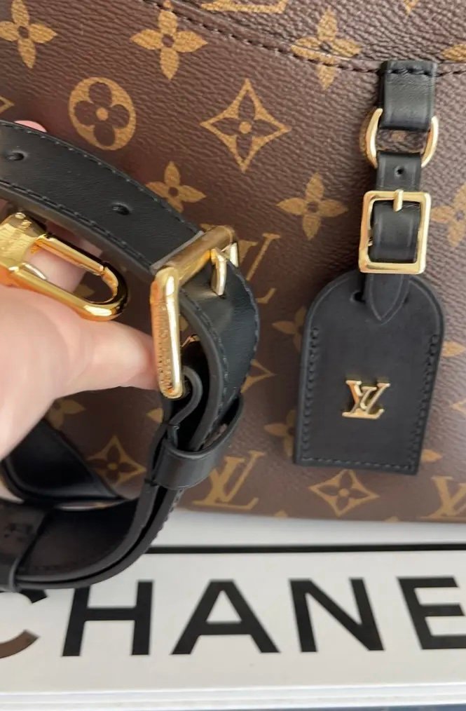 Luis Vuitton Odéon handbag MM - Image 10