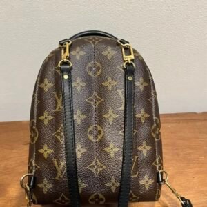 Alternative view of Louis Vuitton Palm Springs Mini Backpack