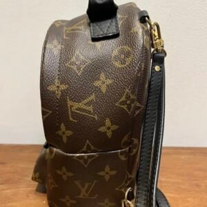Louis Vuitton Palm Springs Mini Backpack