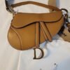 Christian Dior Medium Saddle Bag with purse strap and riding strap.