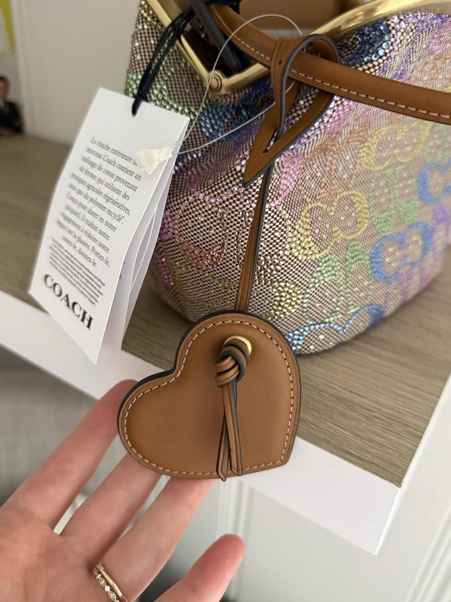 Coach Rainbow Crystal Kisslock 16 Limited Edition - Image 2