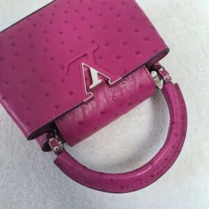 Louis Vuitton
Capucines ostrich handbag
Never worn